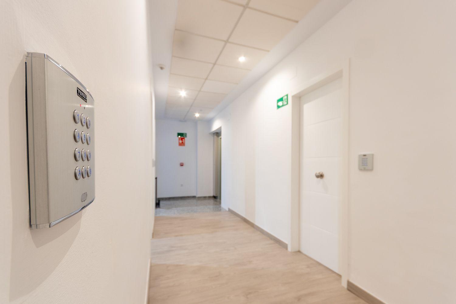 Apartamentos Basilica Santa Eulalia Parking Gratis 梅里达 外观 照片